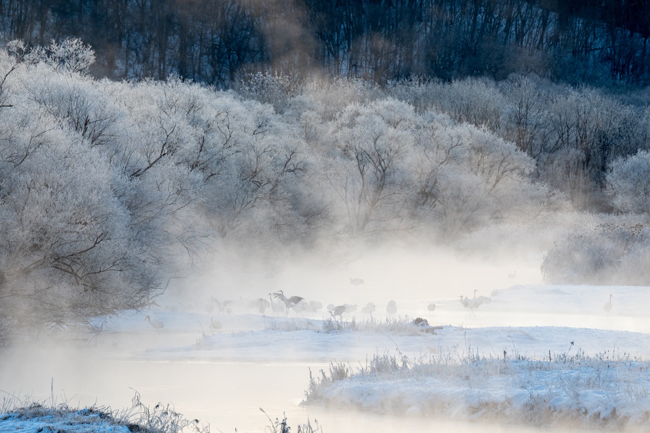 Winter morning